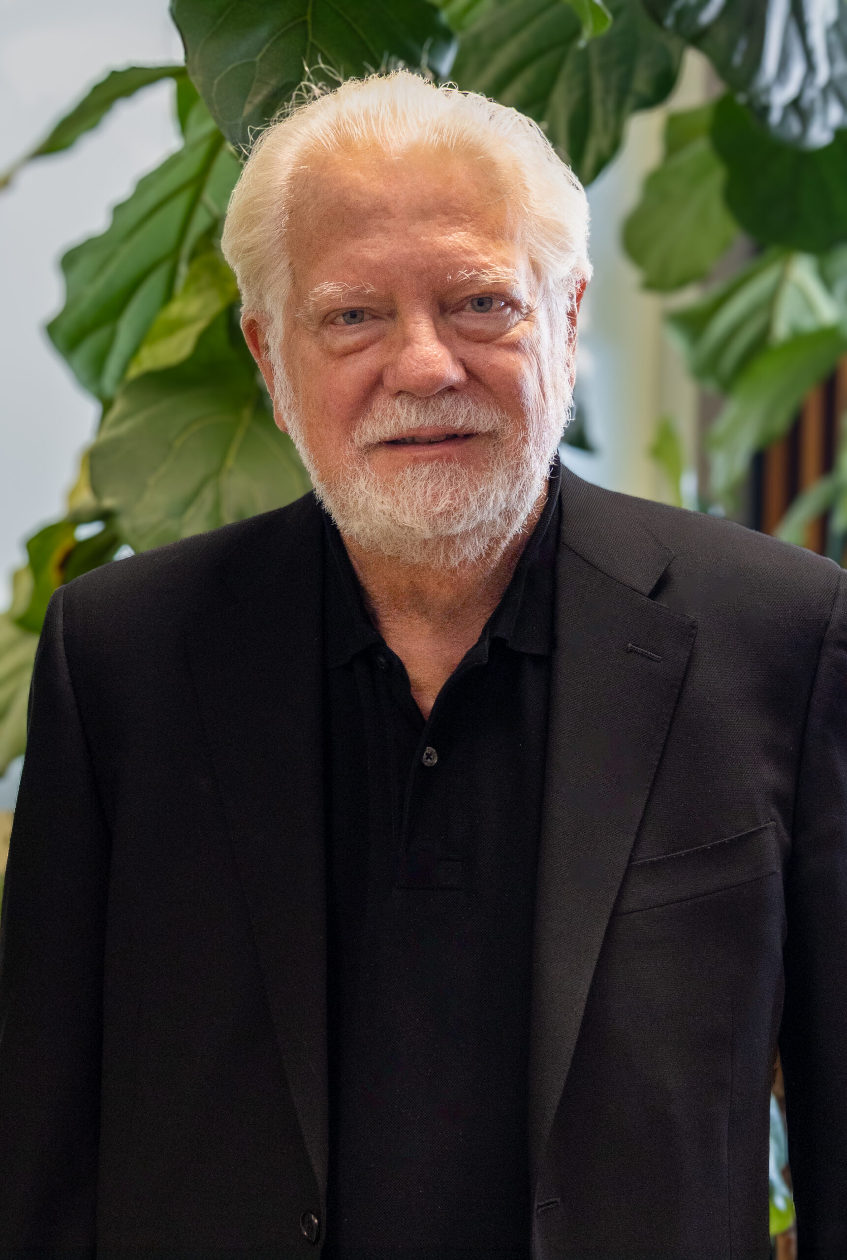 David Noel